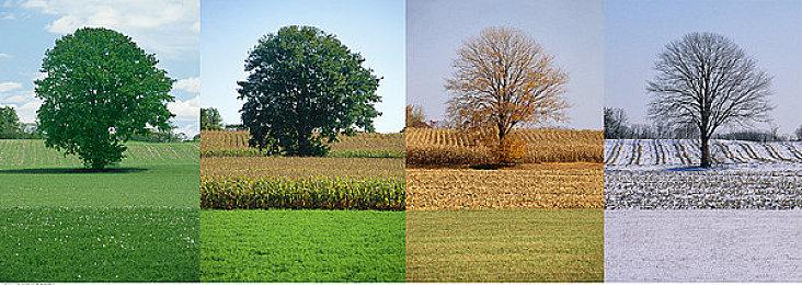 原NS独占游戏《三角战略》上架Steam 预购优惠价341元